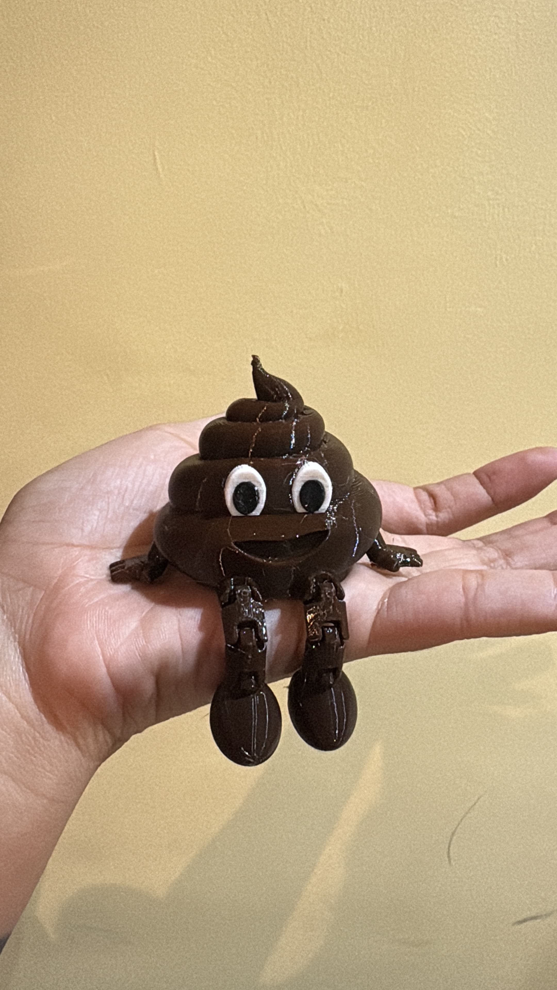 Cocô decoração